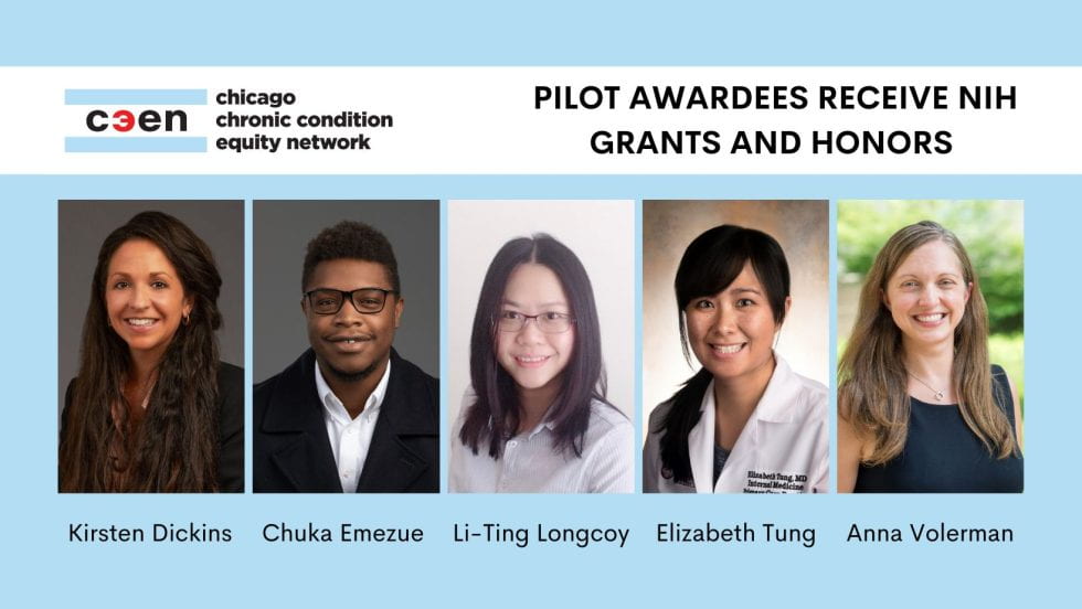 Pilot Awardees for C3EN